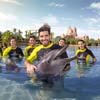 Dolphin Bay Atlantis The Palm 5*