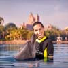 Dolphin Bay Atlantis The Palm 5*