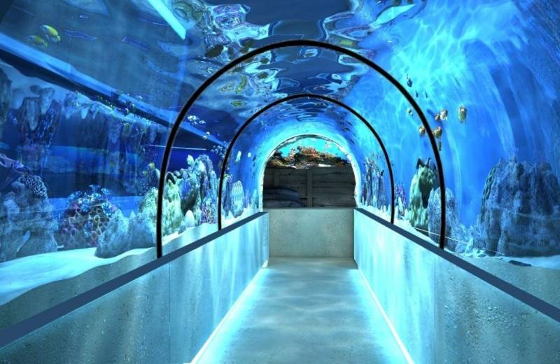 Atrakce Sharjah Aquarium, Spojené Arabské Emiráty