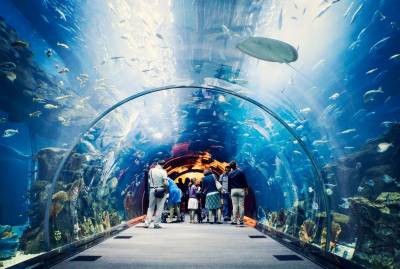 Dubai Aquarium & Water Zoo
