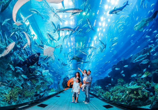 The Dubai Aquarium v The Dubai Mall